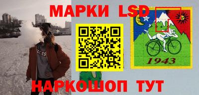 индика Краснознаменск