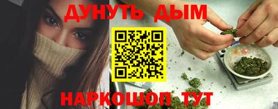 индика Краснознаменск