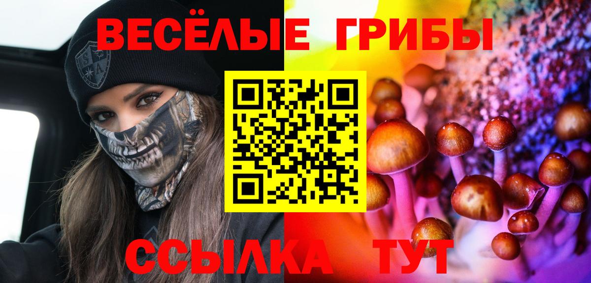 Кимовск  Галлюциногенные грибы прущие грибы  Вход с VPN  Псилоцибиновые грибы мицелий 